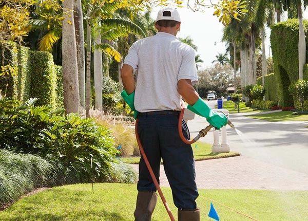 About Seven Mile OH Pest Control Pros